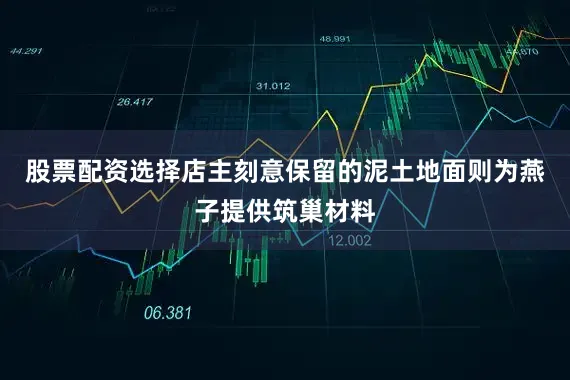 股票配资选择店主刻意保留的泥土地面则为燕子提供筑巢材料