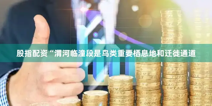 股指配资“渭河临潼段是鸟类重要栖息地和迁徙通道