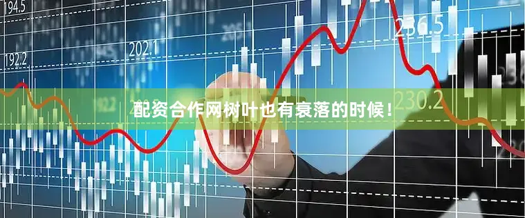 配资合作网树叶也有衰落的时候！