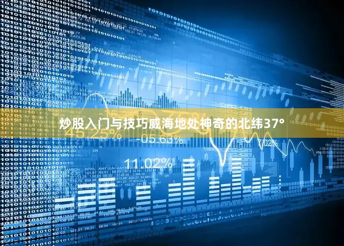 炒股入门与技巧威海地处神奇的北纬37°
